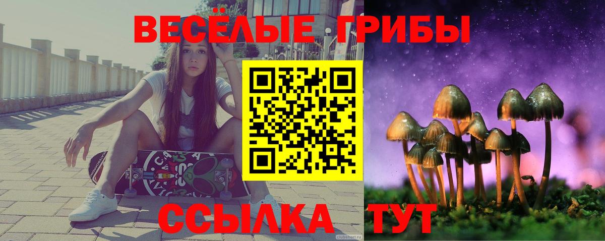 Галлюциногенные грибы Cubensis  Вход с VPN  Нижнекамск 
