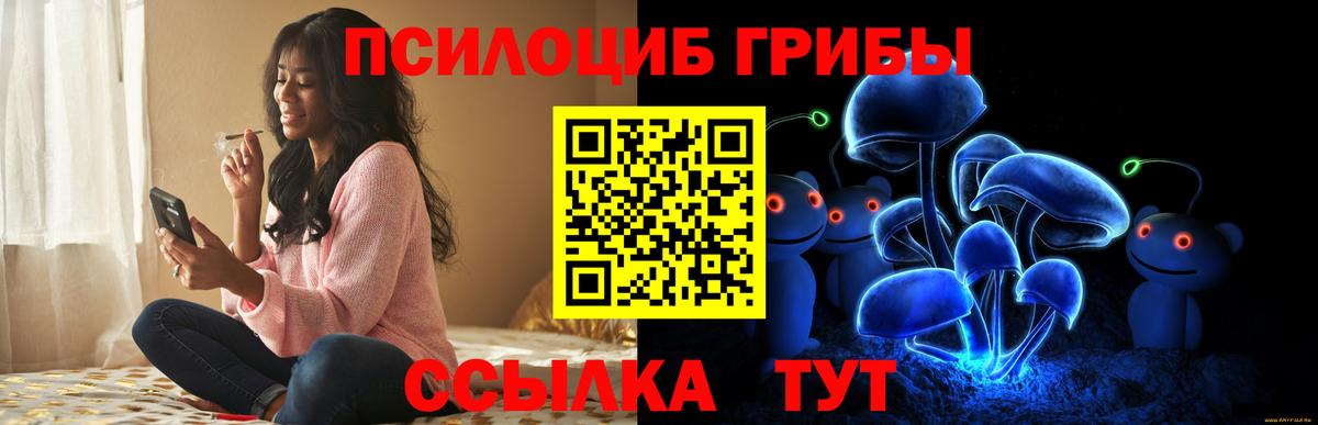 Псилоцибиновые грибы GOLDEN TEACHER Нижнекамск